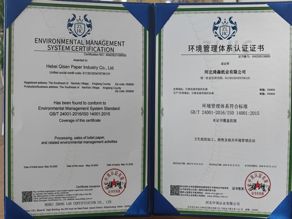 Environmental Management System Certification Certificate