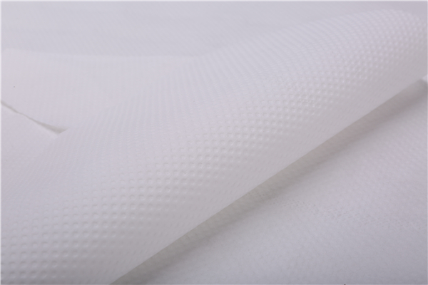 PuYun dairy cow and sheep wiping paper